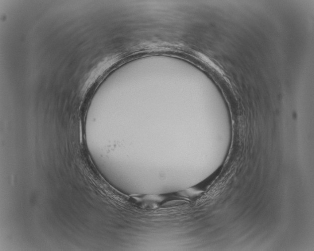 X0000068261269200605191754