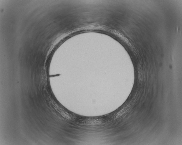 X0000068261270200605191754