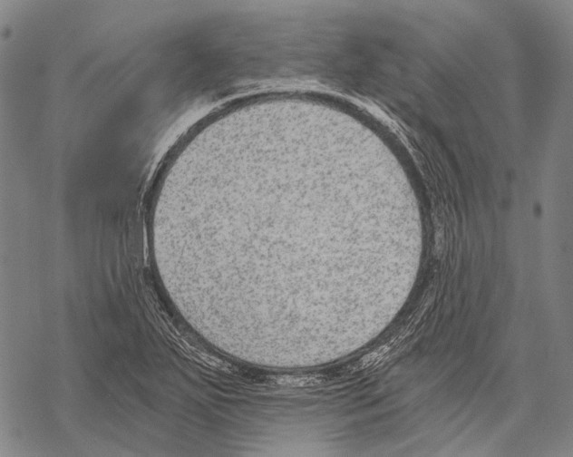 X0000068261271200605191754