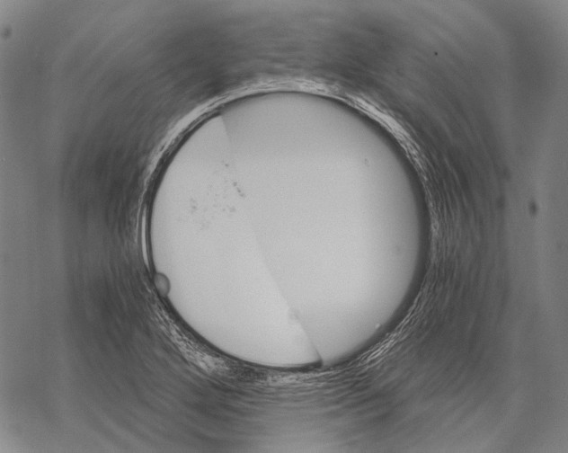 X0000068261272200605191754