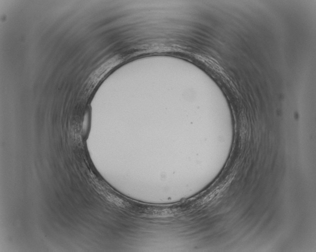 X0000068261273200605191754