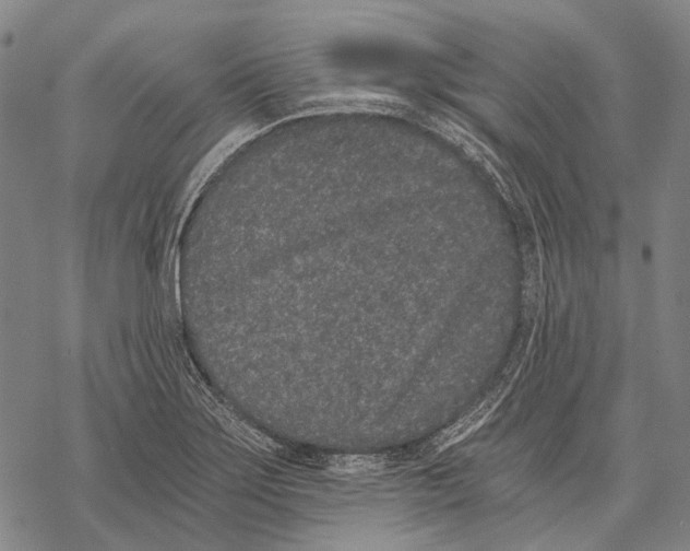 X0000068261275200605191754