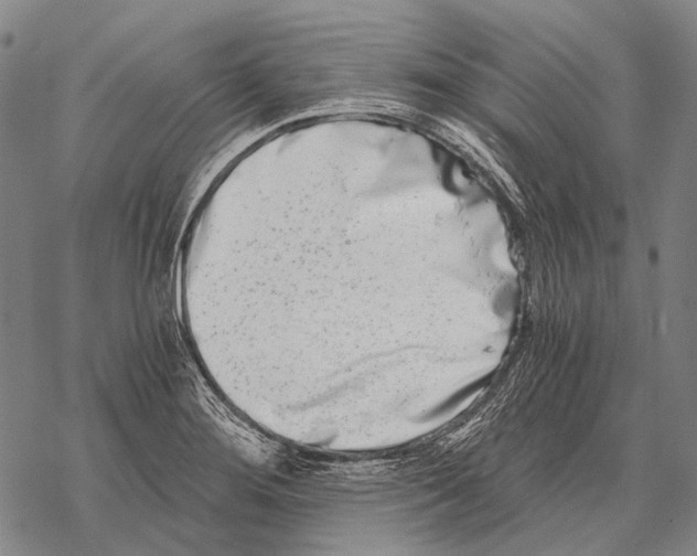 X0000068261276200605191754