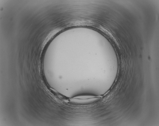 X0000068261277200605191754