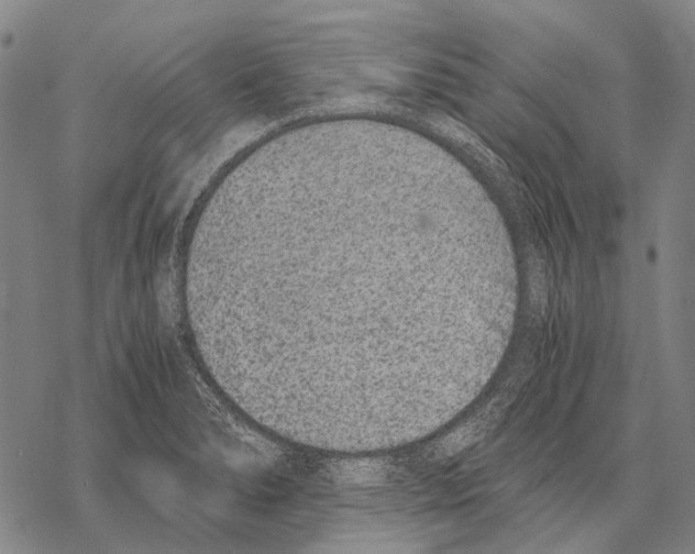 X0000068261278200605191754