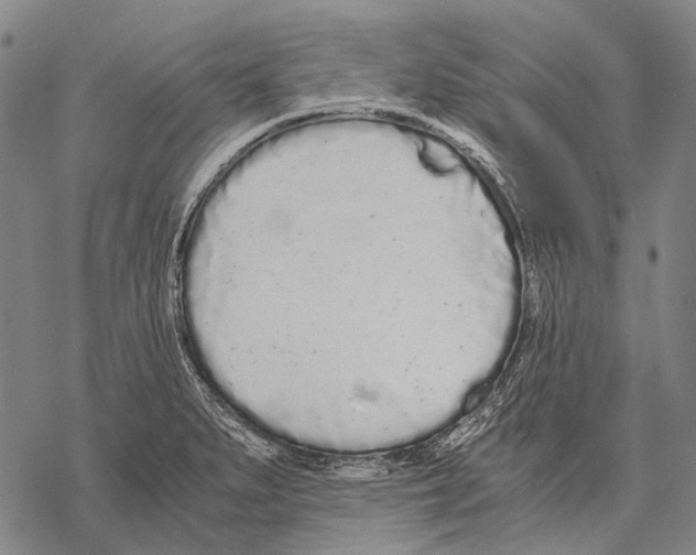 X0000068261279200605191754