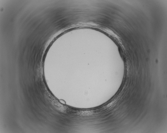 X0000068261280200605191754