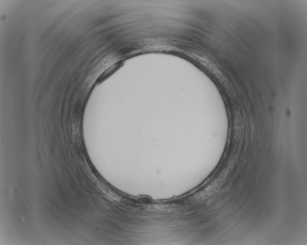 X0000068261281200605191754