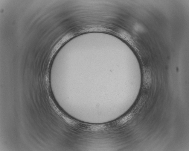 X0000068261282200605191754