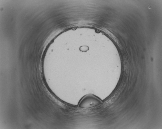 X0000068261285200605191754