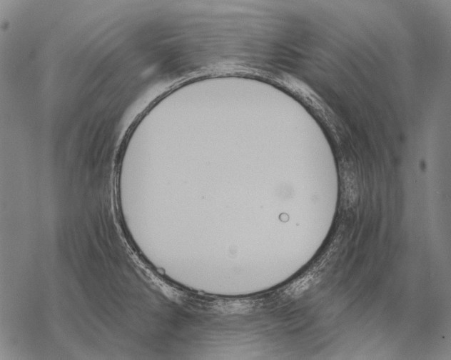 X0000068261286200605191753