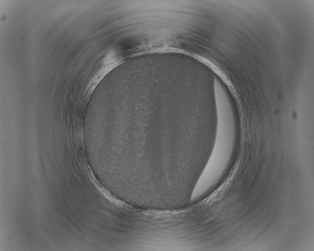 X0000068261289200605191753