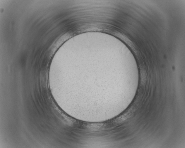 X0000068261290200605191753