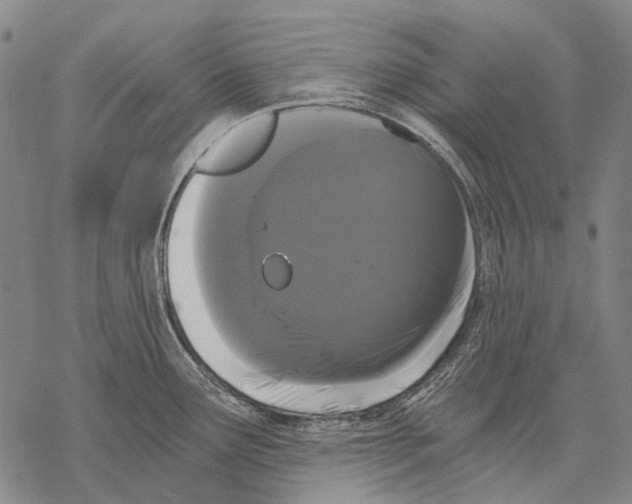 X0000068261291200605191753