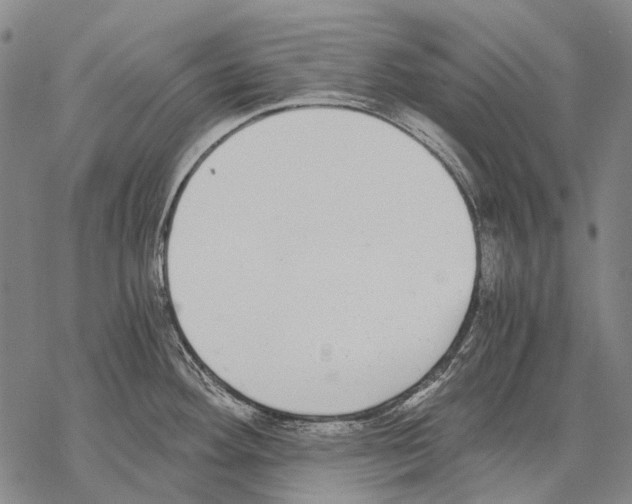 X0000068261292200605191753