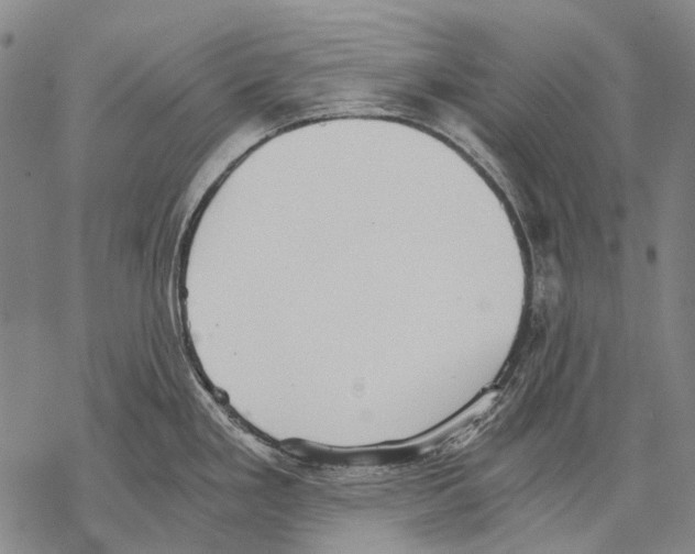 X0000068261293200605191753