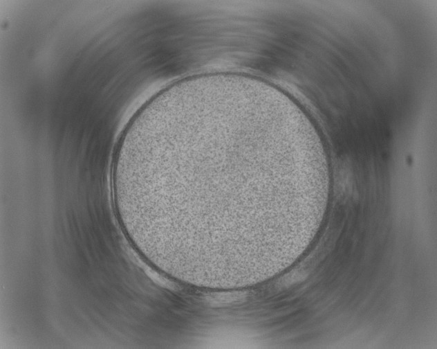 X0000068261294200605191753