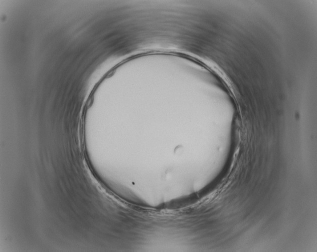 X0000068261295200605191753