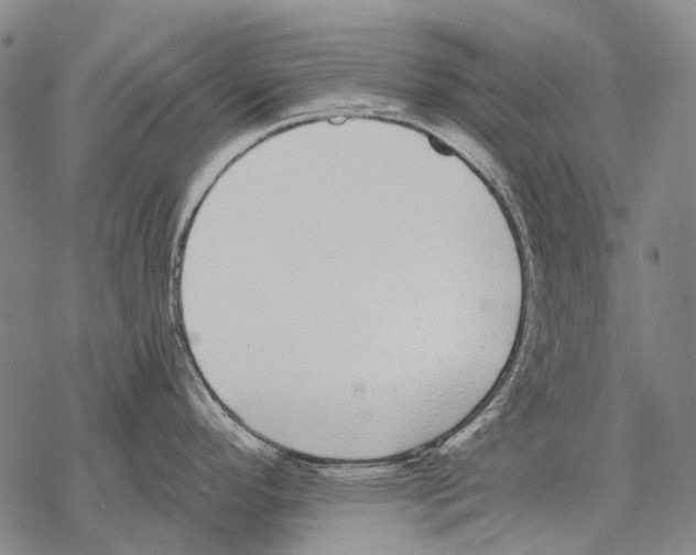 X0000068261296200605191753