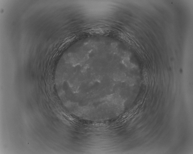 X0000068261297200605191753