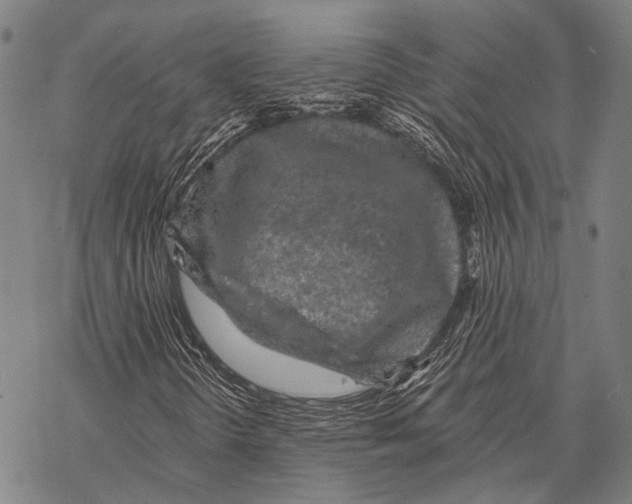 X0000068261298200605191753