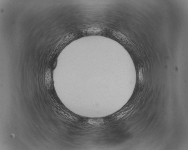 X0000068261299200605191753