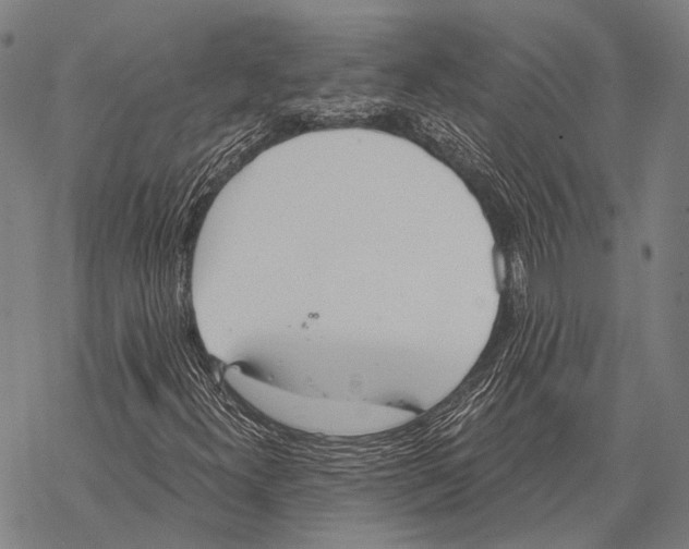 X0000068261300200605191753