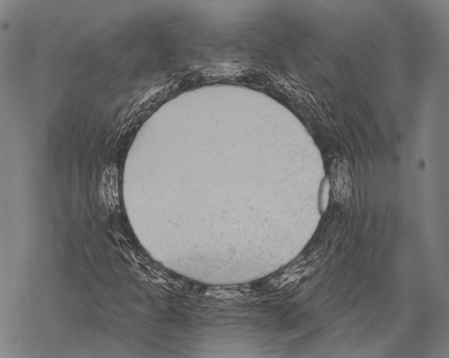 X0000068261301200605191753