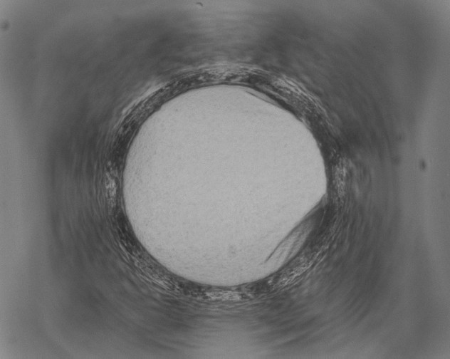 X0000068261302200605191753