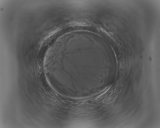 X0000068261303200605191753