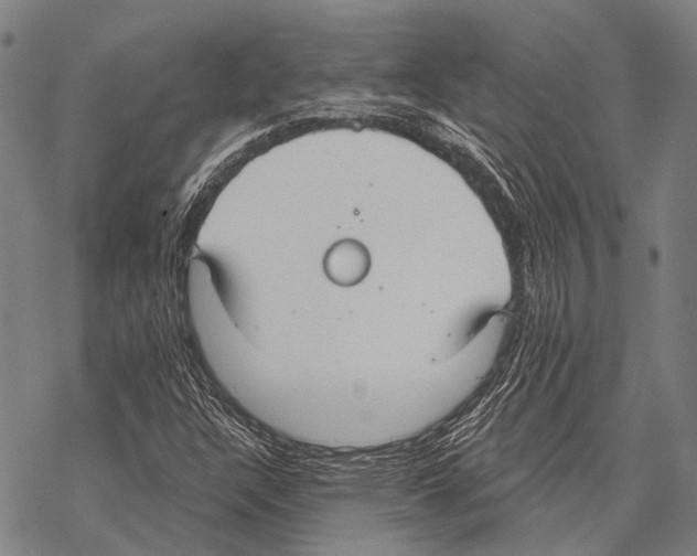 X0000068261304200605191753