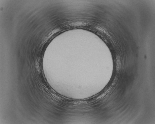 X0000068261305200605191753