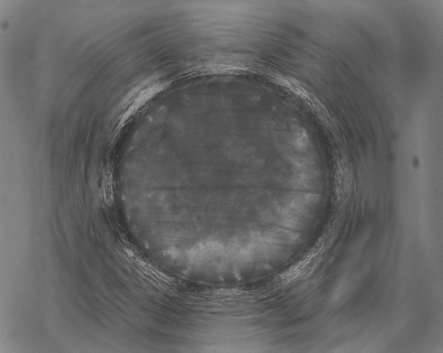 X0000068261306200605191753