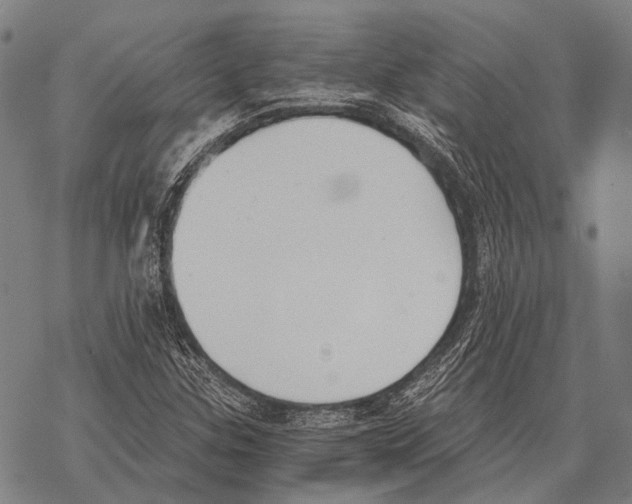 X0000068261307200605191753