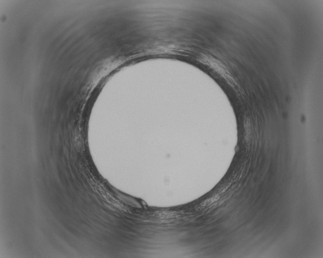 X0000068261308200605191753