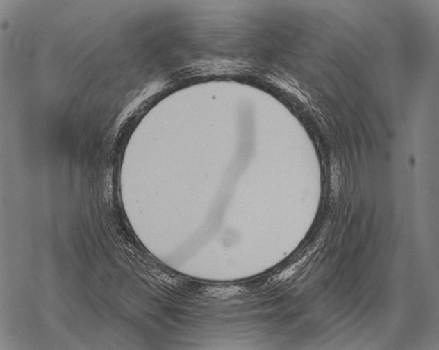 X0000068261309200605191753