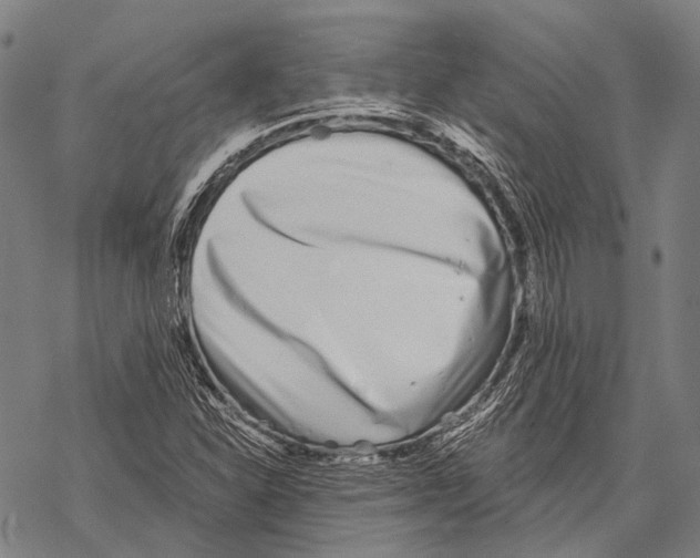 X0000068261310200605191753