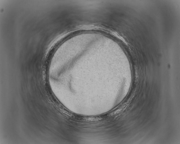 X0000068261311200605191753