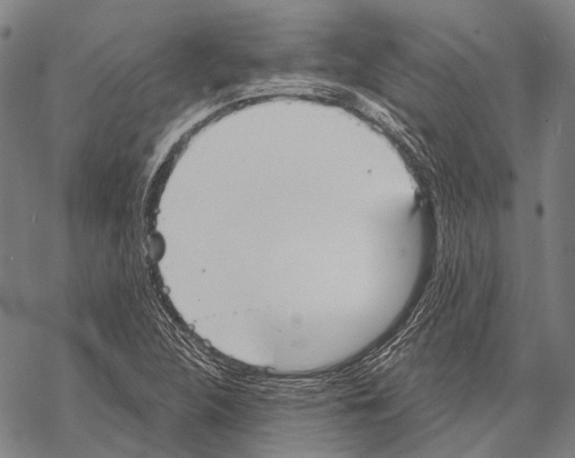 X0000068261312200605191753