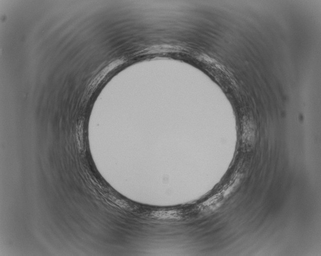 X0000068261313200605191753