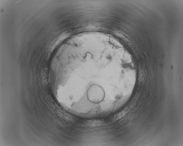 X0000068261314200605191753