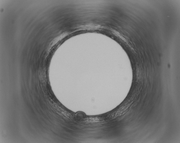 X0000068261315200605191753