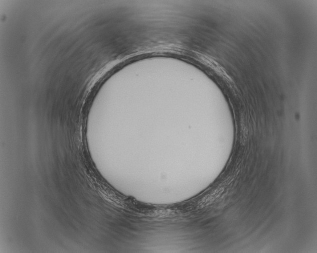 X0000068261316200605191753