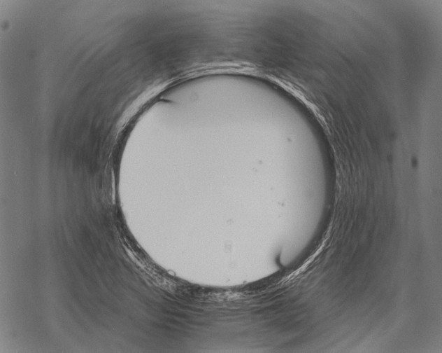 X0000068261317200605191753