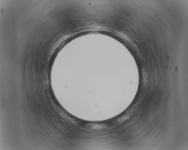 X0000068261318200605191753