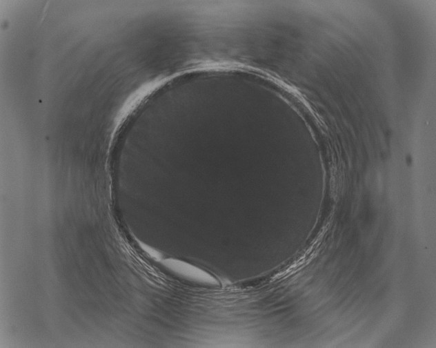 X0000068261319200605191753