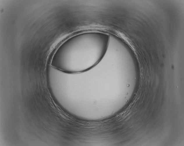 X0000068261320200605191753