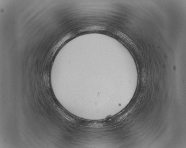 X0000068261321200605191753