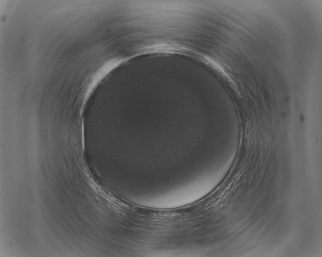 X0000068261323200605191753