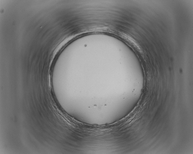 X0000068261324200605191753